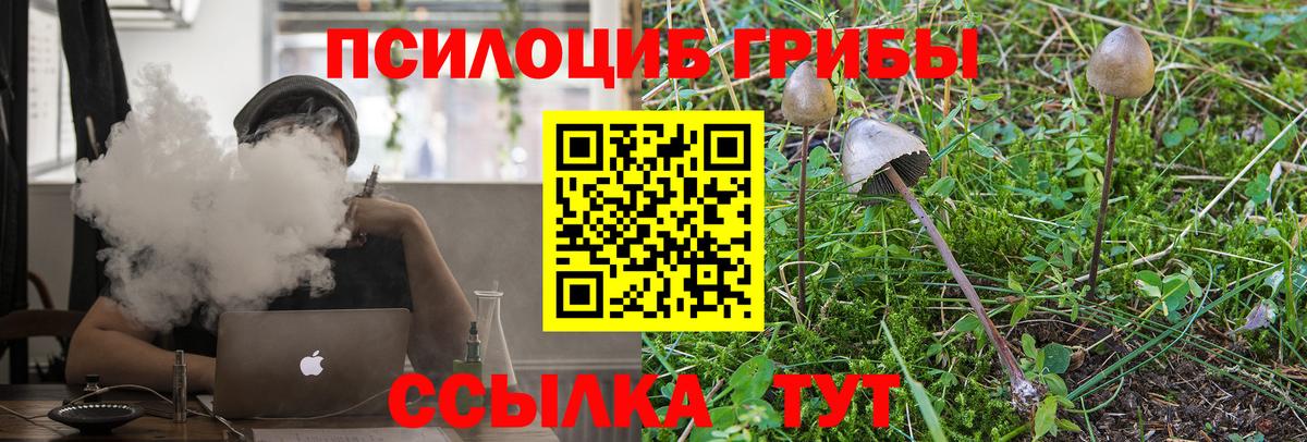 Псилоцибиновые грибы GOLDEN TEACHER Нефтекамск