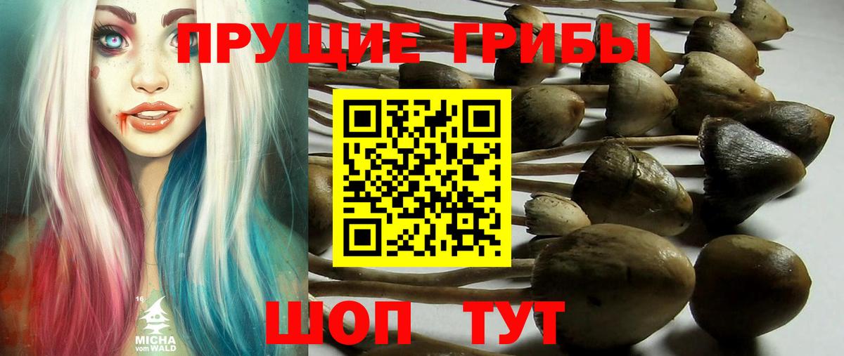 Галлюциногенные грибы Psilocybine cubensis  Псилоцибиновые грибы ЛСД  Вход с VPN  купить закладку  Нефтекамск 